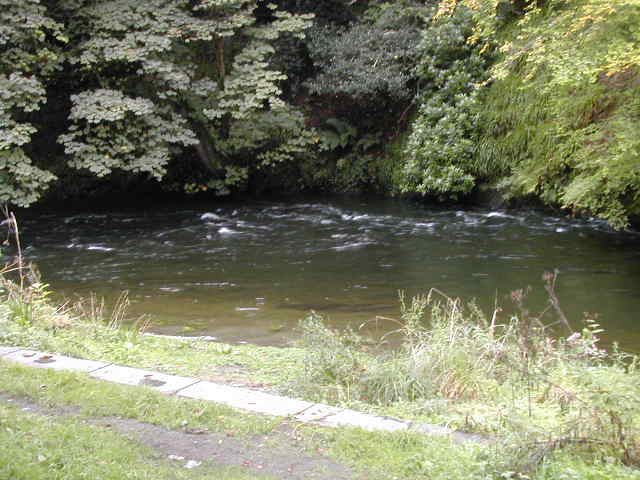 The river in flood