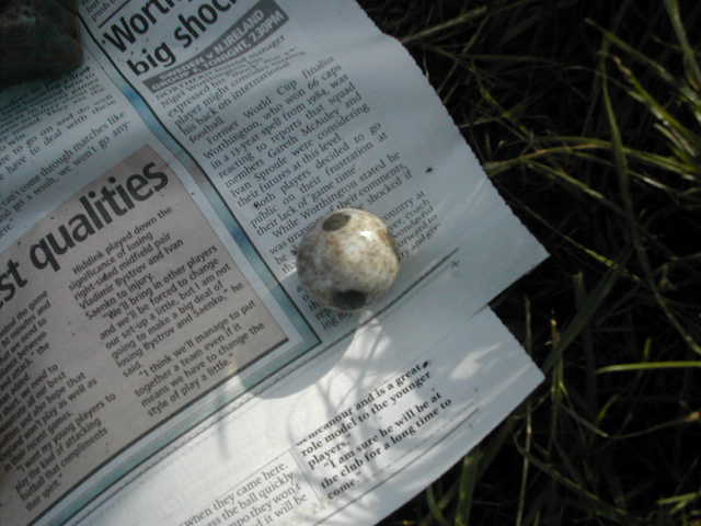 Anyone any idea what this is? It's the size of a large marble, and looks like a football