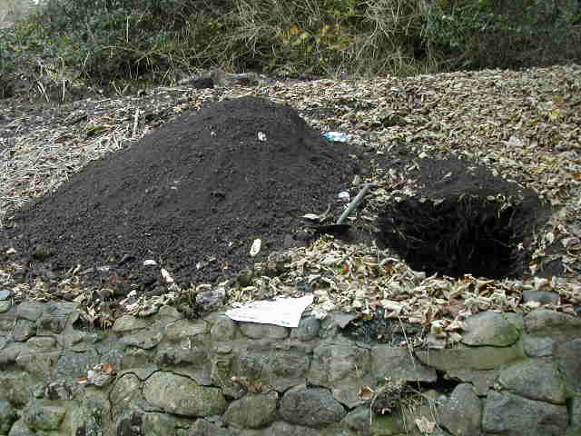 Excavation in progress