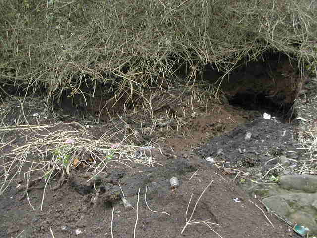 A general view of the digging