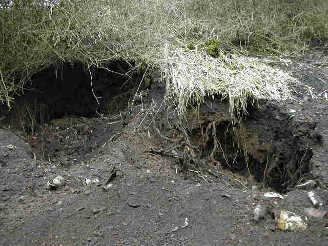 Today's hole is on the right. The capping and the top soil pushed over it can be clearly seen