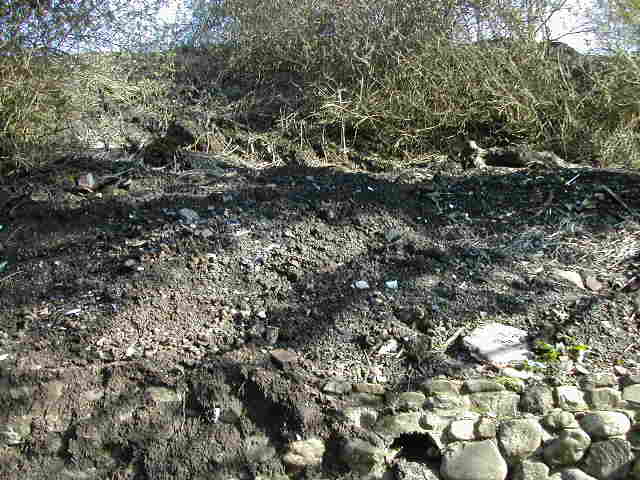 Looking up the banking before starting. The loose topsoil can be clearly seen