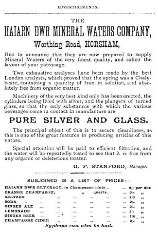 An advertisement from 1881 for the company