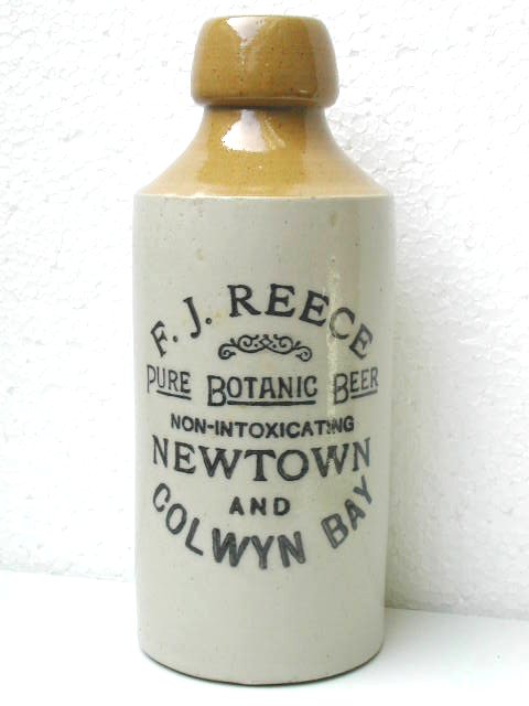 F. J. Reece, Newtown & Colwyn Bay