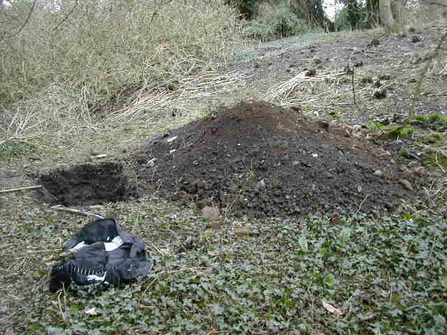 A general view of the dig site