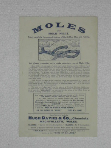 Molrat Poster