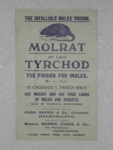 Molrat Poster