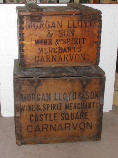 Morgan Lloyd